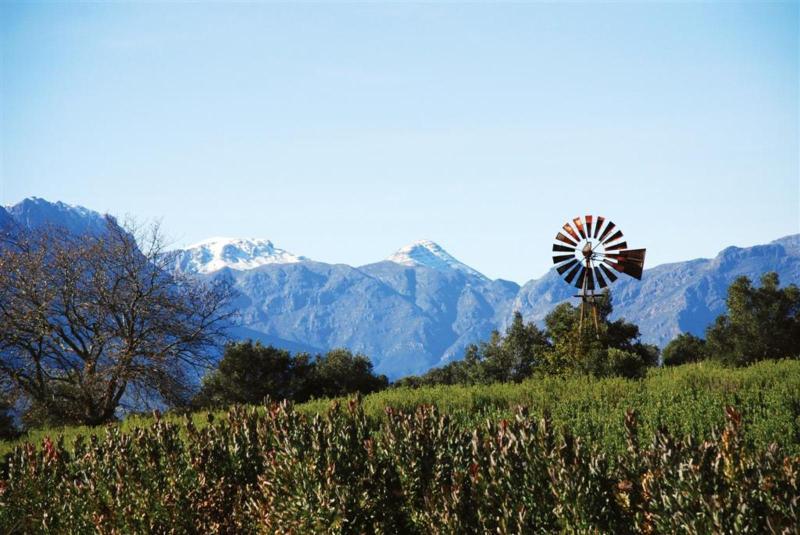 Sugarbird Manor Hotel Stellenbosch Buitenkant foto